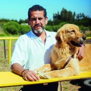 Vínculo de sanación