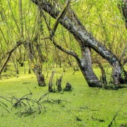 La misteriosa laguna de Chepe