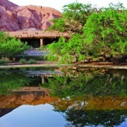 Desierto: una clave verde
