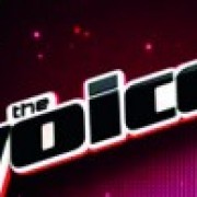 The Voice Yo no canto por cantar