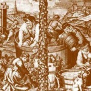 Vinos y viñedos en La Serena Colonial