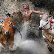 World Press Photo