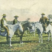 El país del trigo, Región del Biobío