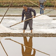 Ruta SALINA