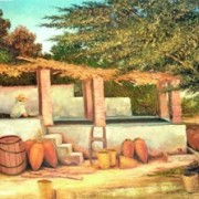 El pisco de aguardiente, las botijas y las pisquiñas