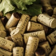 La ruta del vino Recargada
