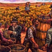 Los vinos, las cepas y los modelos de producción en La Serena y Andalucía