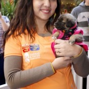 Buscadog Adopta un Perrito, Mall Portal La Dehesa
