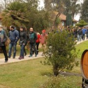 Burbujas de Vino