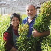 Tierra Fértil y Colorida