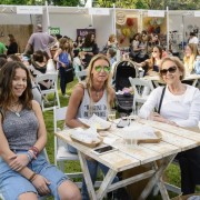 Chicureo Bazar 2016