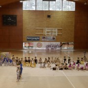 Gala gimnasia artística en CDA 