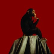 AMBICIÓN