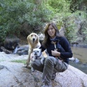 Dog lover