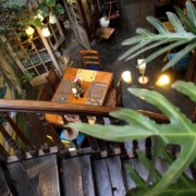 OASIS DE GENIALIDAD