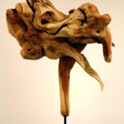 Exposición Aves de Palo de Andrés Billikopf, Centro Civico Lo Barnechea