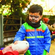 Conce Salvaje, Parque Animalia