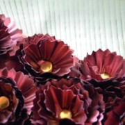 FLORES DEL DESIERTO
