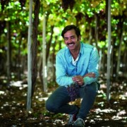 El hombre del pisco