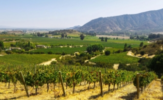 ODA AL CARMÉNÈRE