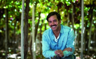 El hombre del pisco