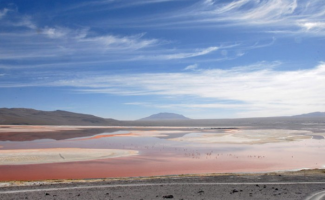 Naturaleza Feroz