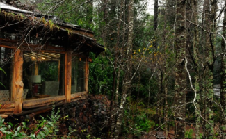 Bosque Encantado