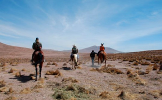 Pampa Paraíso