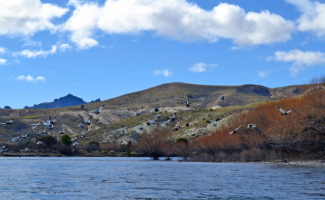PATAGONIA ARGENTINA