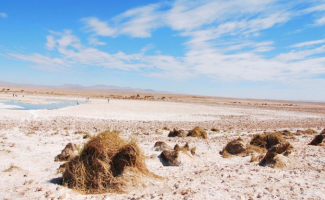 Laguna Viva