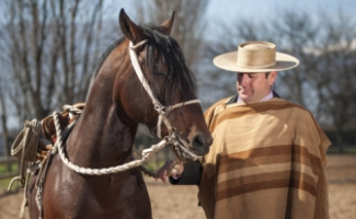 Rodeo de elite