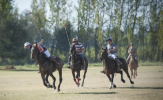 El polo es nuestro