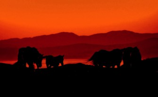 Mongolia tierra de todos
