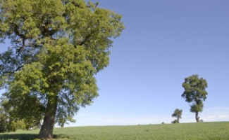 Ecología en plena cordillera