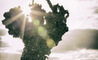 Arcángeles en Rapa Nui