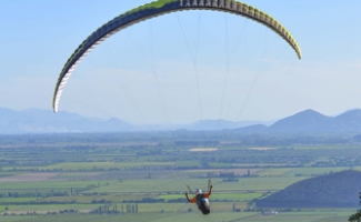 Como halcones