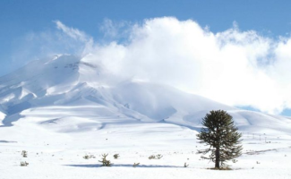 Los alpes chilenos