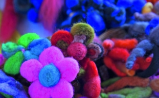 La vida en colores