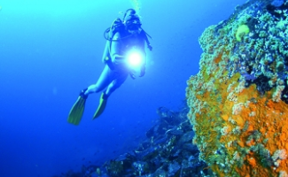 Cine submarino