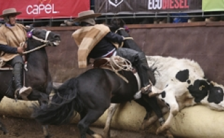 La sorpresa del Champion