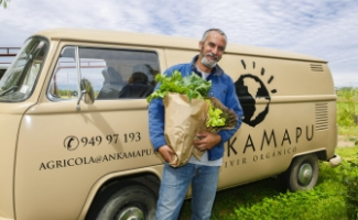 Agricultura orgánica